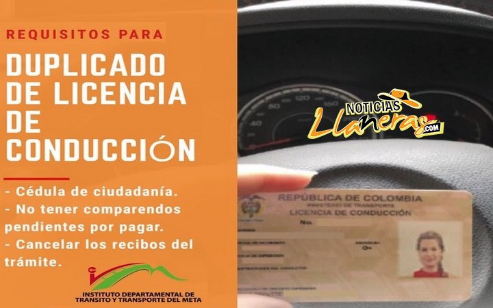 ¿necesitas Tramitar El Duplicado De Tu Licencia De Conducción Noticias Llanerasemk 1007